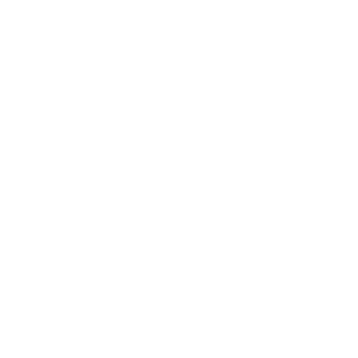 check icon
