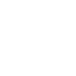 bolt icon